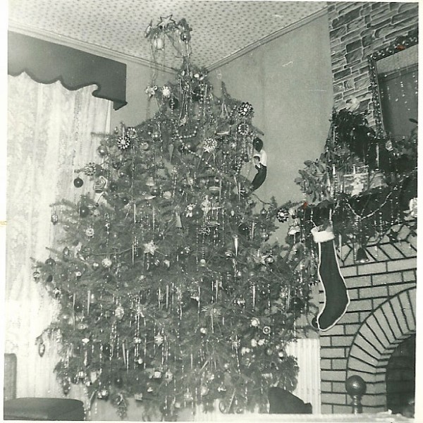 Chick's Christmas Tree Chick's Christmas Tree