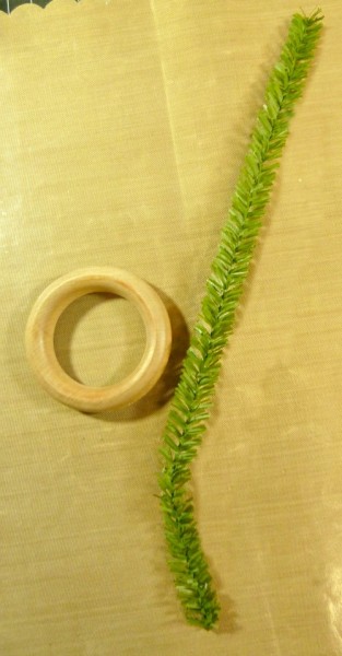 Ring and one Pine Stem Ring and Pine Stem