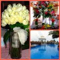 Destination Wedding Collage