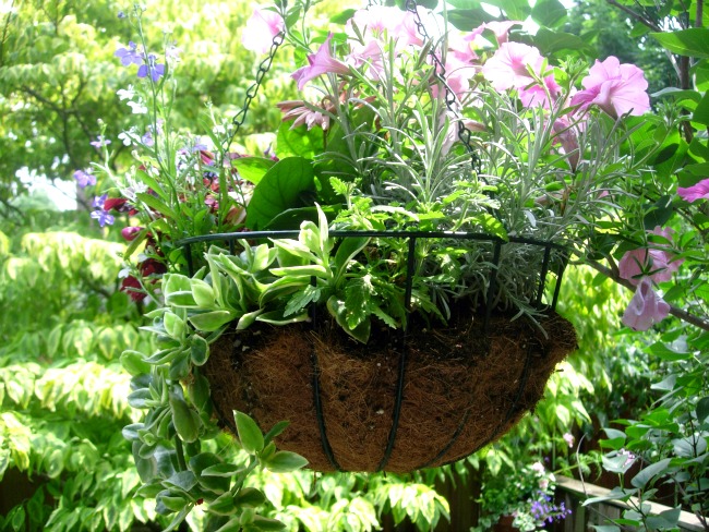Celebration of the Spring Garden