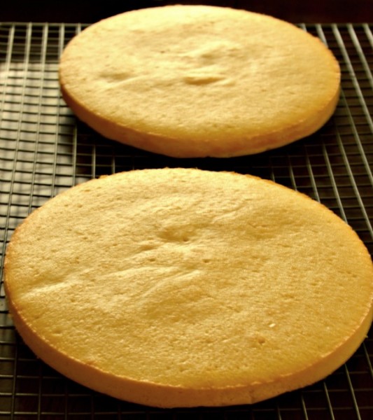 Sponge cakes cooling on wire racks Sponge cakes cooling on wire racks