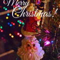 Merry Christmas from Little Miss Celebration