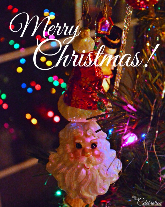 Merry Christmas from Little Miss Celebration