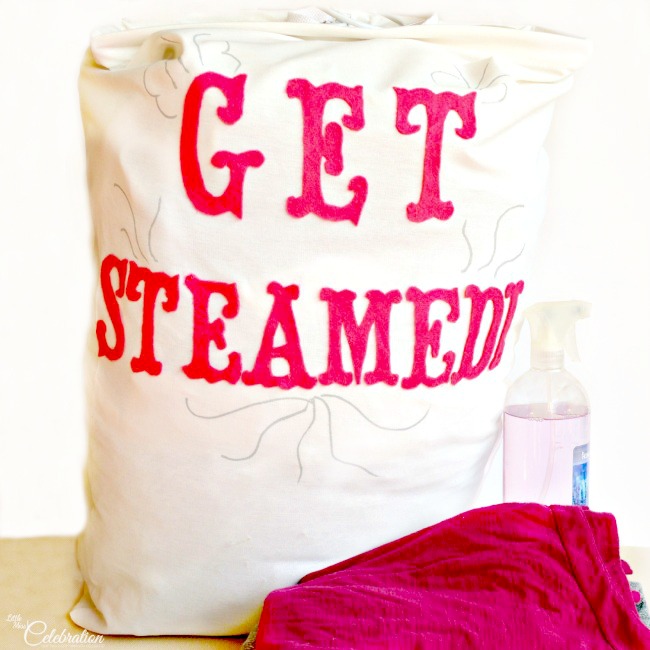 Jazz up a hanging laundry bag to be a cute & functional Ironing Bag Organizer to hang in the closet! At littlemisscelebration.com