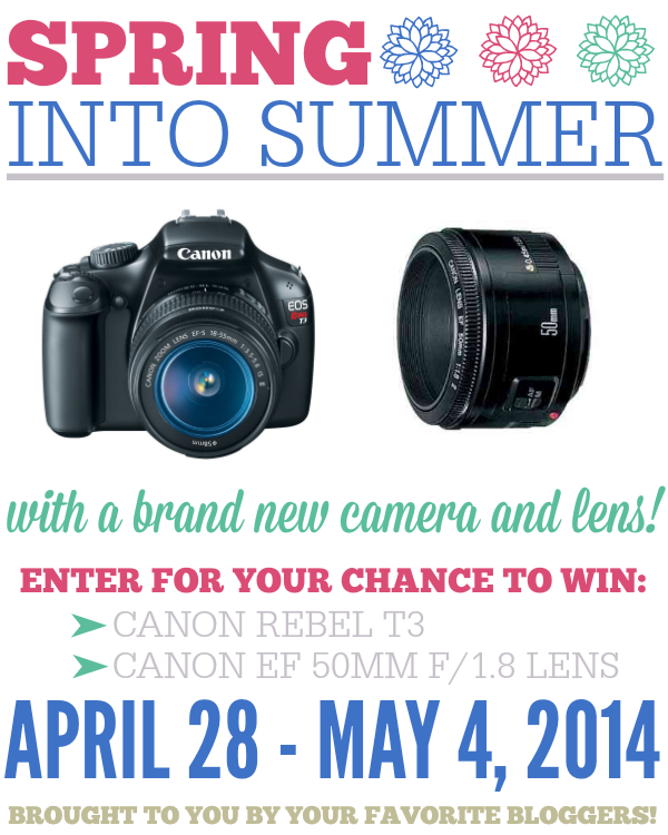 Spring Into Summer Camera and Lens Giveaway! Get set for summer vacation and holiday photos with a brand new camera and lens. At littlemisscelebration.com