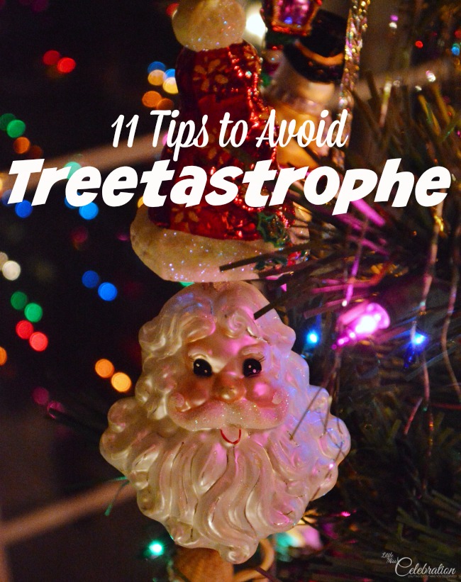 11 Tips to Avoid Treetastrophe