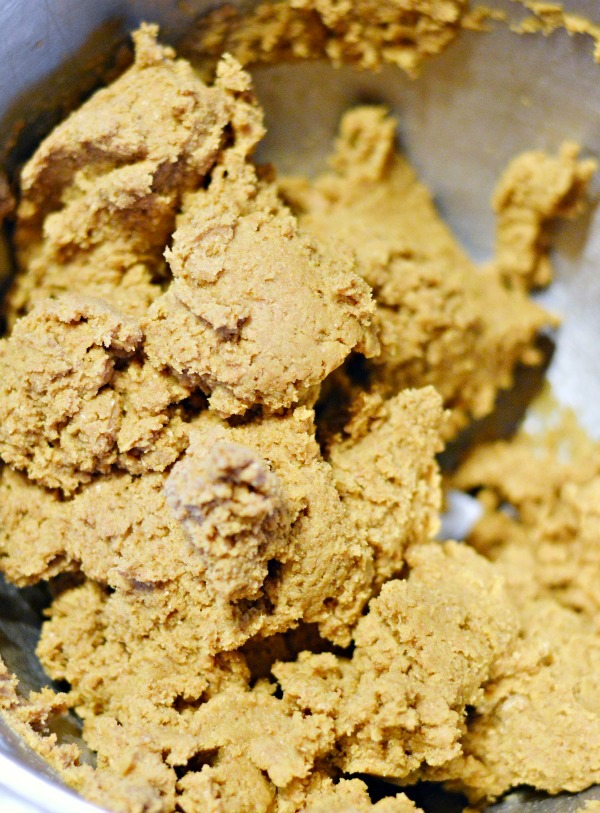 Molasses, brown sugar and whole wheat flour create delicious dough topped with cinnamon and brown sugar. These Molasses Wheat Bunny Cookies make a fun Easter treat but cut these cookies into different shapes all year long - kids love them! Recipe at littlemisscelebration.com