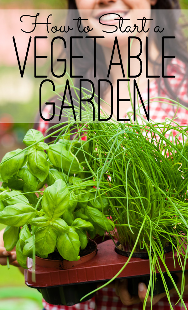 How To Start A Vegetable Garden from The Seasoned Homemaker