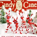 Pipe Cleaner Candy Cane Reindeer are an easy & fun family craft to kick off the holiday season - and cute, too! At littlemisscelebration.com