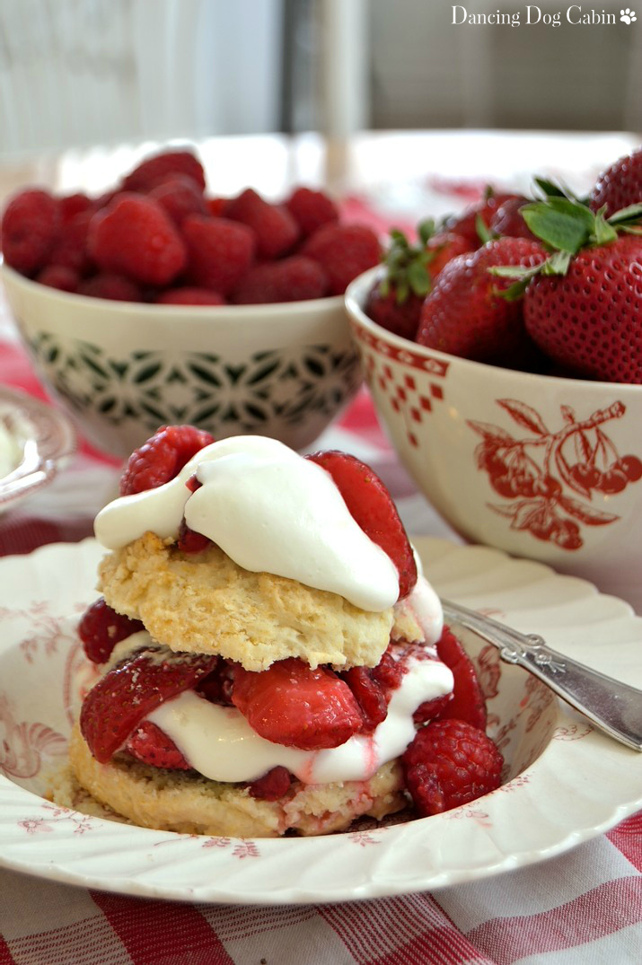 It's Time for Berry Shortcake from Dancing Dog Cabin